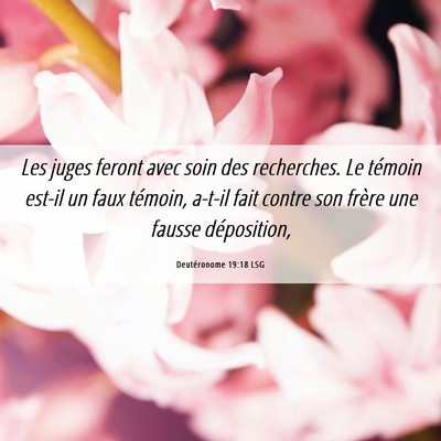 Picture 06 - Deutéronome 19:18 LSG - Les juges feront avec soin des recherches. Le - Bible Verse Picture