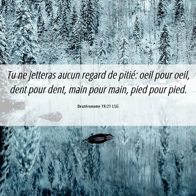 Picture 06 - Deutéronome 19:21 LSG - Tu ne jetteras aucun regard de pitié: oeil pour - Bible Verse Picture