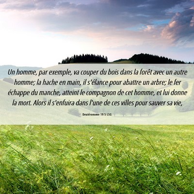 Picture 06 - Deutéronome 19:5 LSG - Un homme, par exemple, va couper du bois dans la - Bible Verse Picture