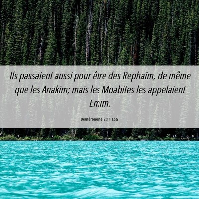 Picture 06 - Deutéronome 2:11 LSG - Ils passaient aussi pour être des Rephaïm, de - Bible Verse Picture
