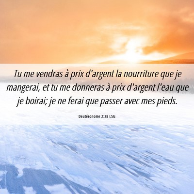 Picture 06 - Deutéronome 2:28 LSG - Tu me vendras à prix d'argent la nourriture que - Bible Verse Picture