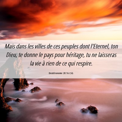 Picture 06 - Deutéronome 20:16 LSG - Mais dans les villes de ces peuples dont - Bible Verse Picture