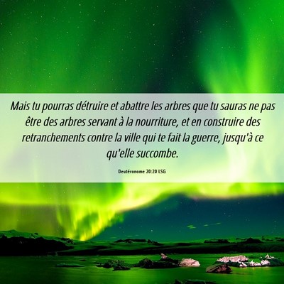 Picture 06 - Deutéronome 20:20 LSG - Mais tu pourras détruire et abattre les arbres - Bible Verse Picture