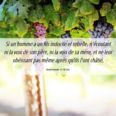Picture 06 - Deutéronome 21:18 LSG - Si un homme a un fils indocile et rebelle, - Bible Verse Picture