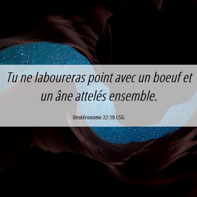 Picture 06 - Deutéronome 22:10 LSG - Tu ne laboureras point avec un boeuf et un âne - Bible Verse Picture