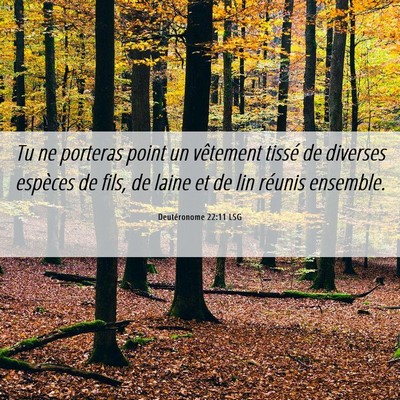Picture 06 - Deutéronome 22:11 LSG - Tu ne porteras point un vêtement tissé de - Bible Verse Picture