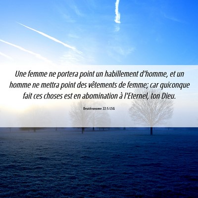 Picture 06 - Deutéronome 22:5 LSG - Une femme ne portera point un habillement - Bible Verse Picture