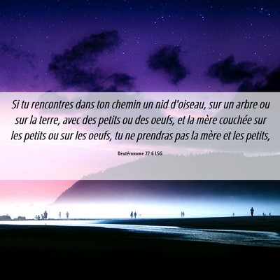 Picture 06 - Deutéronome 22:6 LSG - Si tu rencontres dans ton chemin un nid d'oiseau, - Bible Verse Picture