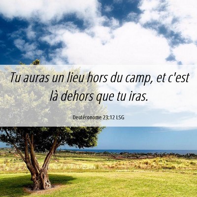 Picture 06 - Deutéronome 23:12 LSG - Tu auras un lieu hors du camp, et c'est là - Bible Verse Picture