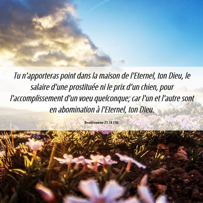 Picture 06 - Deutéronome 23:18 LSG - Tu n'apporteras point dans la maison de - Bible Verse Picture