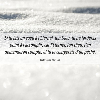Picture 06 - Deutéronome 23:21 LSG - Si tu fais un voeu à l'Eternel, ton Dieu, tu ne - Bible Verse Picture