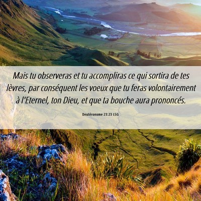 Picture 06 - Deutéronome 23:23 LSG - Mais tu observeras et tu accompliras ce qui - Bible Verse Picture