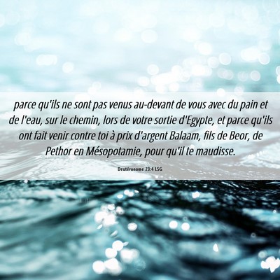 Picture 06 - Deutéronome 23:4 LSG - parce qu'ils ne sont pas venus au-devant de vous - Bible Verse Picture
