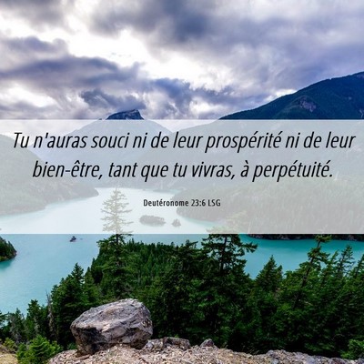 Picture 06 - Deutéronome 23:6 LSG - Tu n'auras souci ni de leur prospérité ni de - Bible Verse Picture