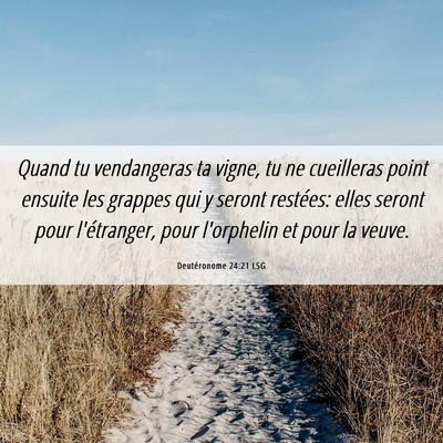 Picture 06 - Deutéronome 24:21 LSG - Quand tu vendangeras ta vigne, tu ne cueilleras - Bible Verse Picture