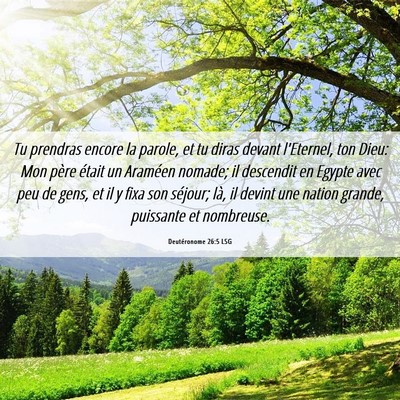 Picture 06 - Deutéronome 26:5 LSG - Tu prendras encore la parole, et tu diras devant - Bible Verse Picture