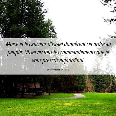 Picture 06 - Deutéronome 27:1 LSG - Moïse et les anciens d'Israël donnèrent cet - Bible Verse Picture