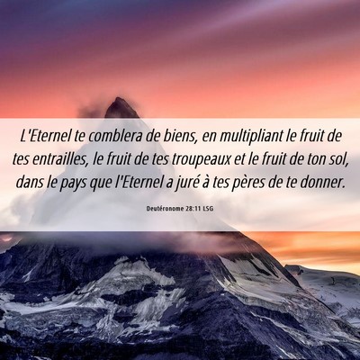 Picture 06 - Deutéronome 28:11 LSG - L'Eternel te comblera de biens, en multipliant le - Bible Verse Picture