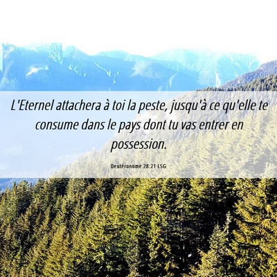 Picture 06 - Deutéronome 28:21 LSG - L'Eternel attachera à toi la peste, jusqu'à ce - Bible Verse Picture