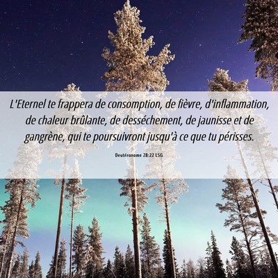 Picture 06 - Deutéronome 28:22 LSG - L'Eternel te frappera de consomption, de fièvre, - Bible Verse Picture