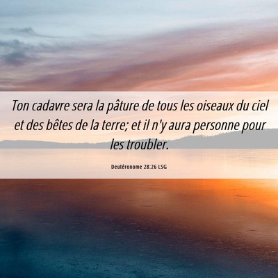 Picture 06 - Deutéronome 28:26 LSG - Ton cadavre sera la pâture de tous les oiseaux - Bible Verse Picture