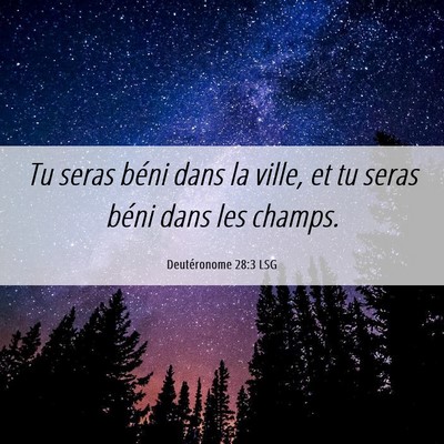 Picture 06 - Deutéronome 28:3 LSG - Tu seras béni dans la ville, et tu seras béni - Bible Verse Picture