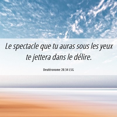 Picture 06 - Deutéronome 28:34 LSG - Le spectacle que tu auras sous les yeux te - Bible Verse Picture
