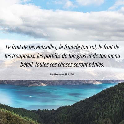 Picture 06 - Deutéronome 28:4 LSG - Le fruit de tes entrailles, le fruit de ton sol, - Bible Verse Picture