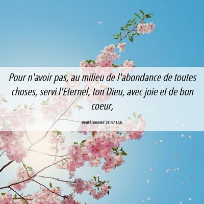 Picture 06 - Deutéronome 28:47 LSG - Pour n'avoir pas, au milieu de l'abondance de - Bible Verse Picture