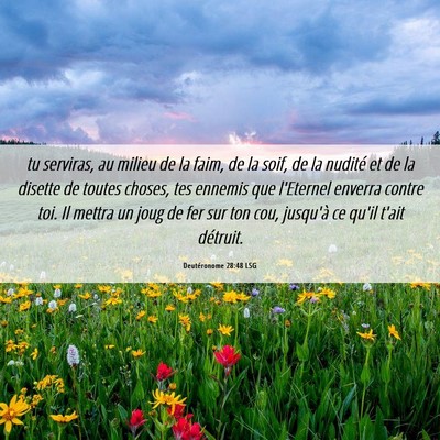 Picture 06 - Deutéronome 28:48 LSG - tu serviras, au milieu de la faim, de la soif, de - Bible Verse Picture