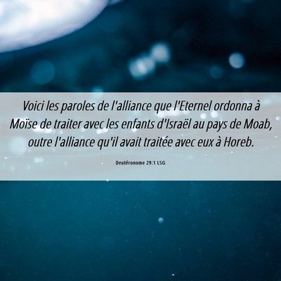 Picture 06 - Deutéronome 29:1 LSG - Voici les paroles de l'alliance que l'Eternel - Bible Verse Picture