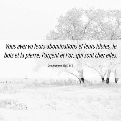 Picture 06 - Deutéronome 29:17 LSG - Vous avez vu leurs abominations et leurs idoles, - Bible Verse Picture