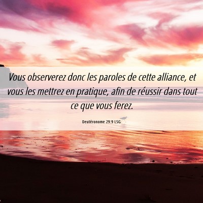 Picture 06 - Deutéronome 29:9 LSG - Vous observerez donc les paroles de cette - Bible Verse Picture