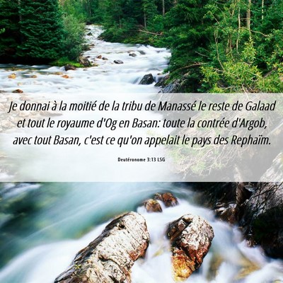 Picture 06 - Deutéronome 3:13 LSG - Je donnai à la moitié de la tribu de Manassé - Bible Verse Picture