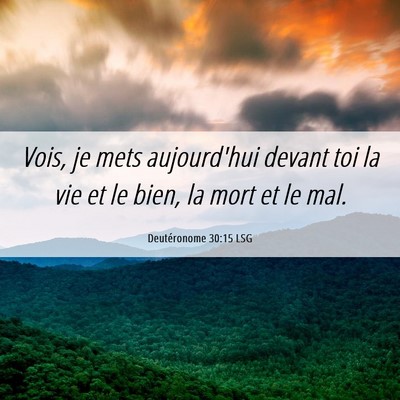 Picture 06 - Deutéronome 30:15 LSG - Vois, je mets aujourd'hui devant toi la vie et le - Bible Verse Picture