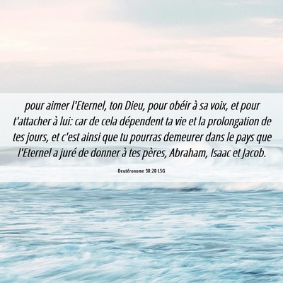 Picture 06 - Deutéronome 30:20 LSG - pour aimer l'Eternel, ton Dieu, pour obéir à sa - Bible Verse Picture