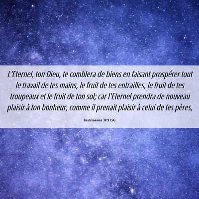 Picture 06 - Deutéronome 30:9 LSG - L'Eternel, ton Dieu, te comblera de biens en - Bible Verse Picture
