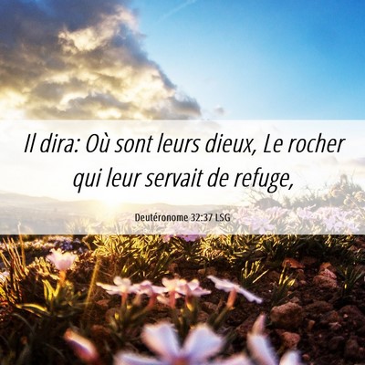 Picture 06 - Deutéronome 32:37 LSG - Il dira: Où sont leurs dieux, Le rocher qui leur - Bible Verse Picture