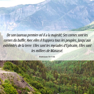 Picture 06 - Deutéronome 33:17 LSG - De son taureau premier-né il a la majesté; Ses - Bible Verse Picture