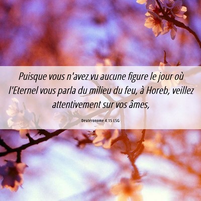 Picture 06 - Deutéronome 4:15 LSG - Puisque vous n'avez vu aucune figure le jour où - Bible Verse Picture