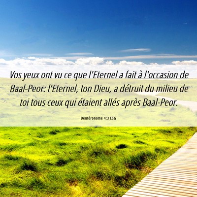 Picture 06 - Deutéronome 4:3 LSG - Vos yeux ont vu ce que l'Eternel a fait à - Bible Verse Picture
