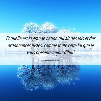 Picture 06 - Deutéronome 4:8 LSG - Et quelle est la grande nation qui ait des lois - Bible Verse Picture