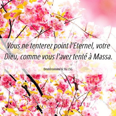 Picture 06 - Deutéronome 6:16 LSG - Vous ne tenterez point l'Eternel, votre Dieu, - Bible Verse Picture