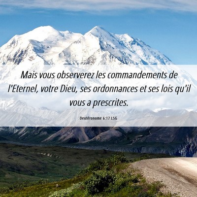 Picture 06 - Deutéronome 6:17 LSG - Mais vous observerez les commandements de - Bible Verse Picture