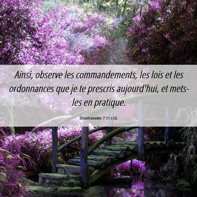 Picture 06 - Deutéronome 7:11 LSG - Ainsi, observe les commandements, les lois et les - Bible Verse Picture