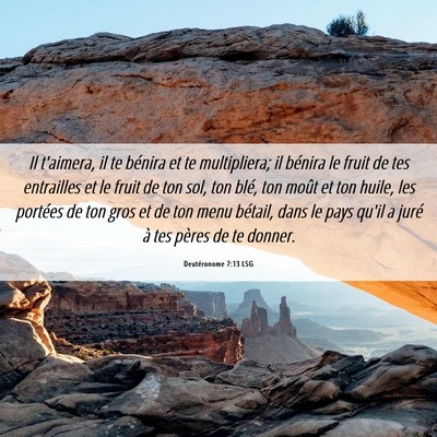 Picture 06 - Deutéronome 7:13 LSG - Il t'aimera, il te bénira et te multipliera; il - Bible Verse Picture