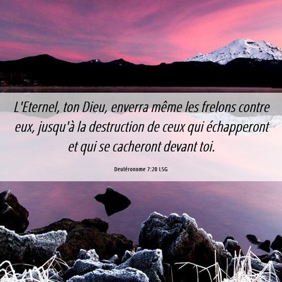 Picture 06 - Deutéronome 7:20 LSG - L'Eternel, ton Dieu, enverra même les frelons - Bible Verse Picture