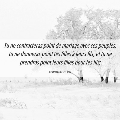 Picture 06 - Deutéronome 7:3 LSG - Tu ne contracteras point de mariage avec ces - Bible Verse Picture