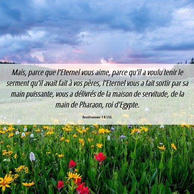 Picture 06 - Deutéronome 7:8 LSG - Mais, parce que l'Eternel vous aime, parce qu'il - Bible Verse Picture