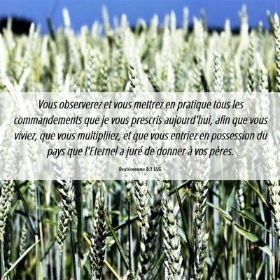 Picture 06 - Deutéronome 8:1 LSG - Vous observerez et vous mettrez en pratique tous - Bible Verse Picture